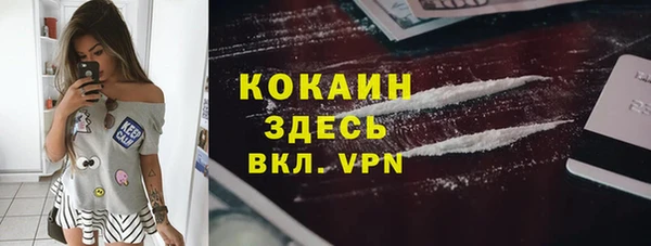 ALPHA PVP Краснослободск