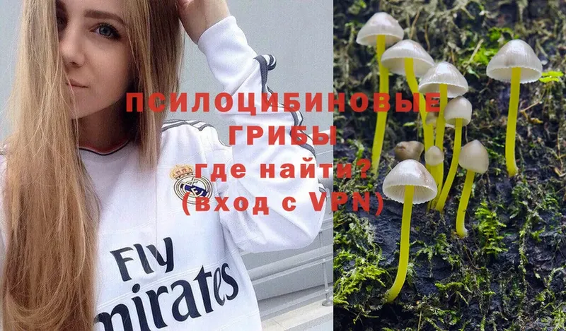 Псилоцибиновые грибы Magic Shrooms  закладка  Норильск 