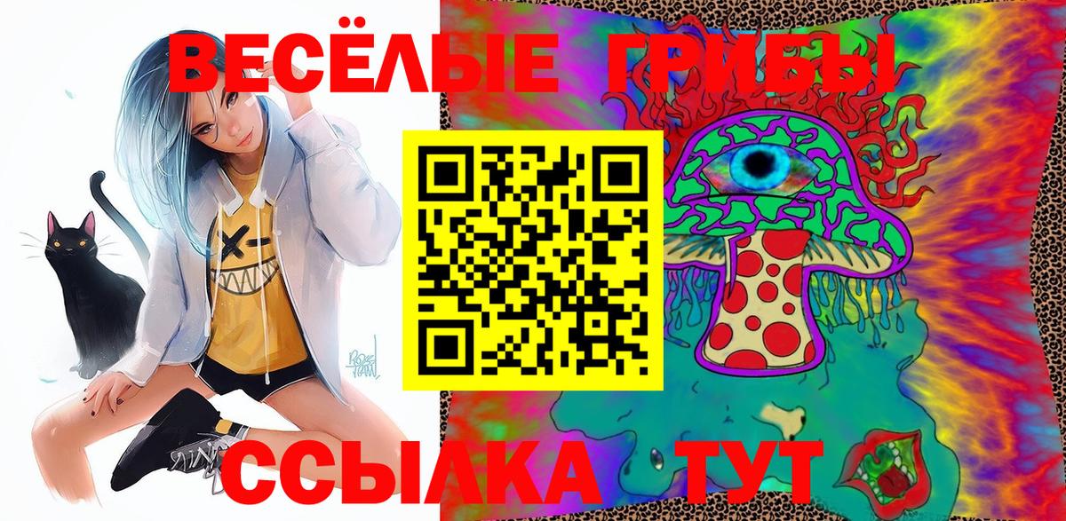 Галлюциногенные грибы Psilocybine cubensis  Вход с VPN  Псилоцибиновые грибы мицелий  Норильск 